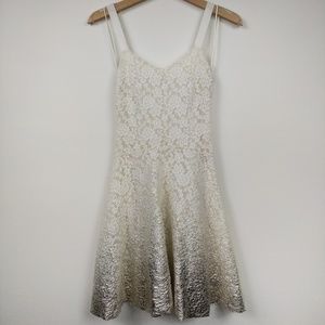 Free People Foil Ombre Lace Fit and Flare Dress